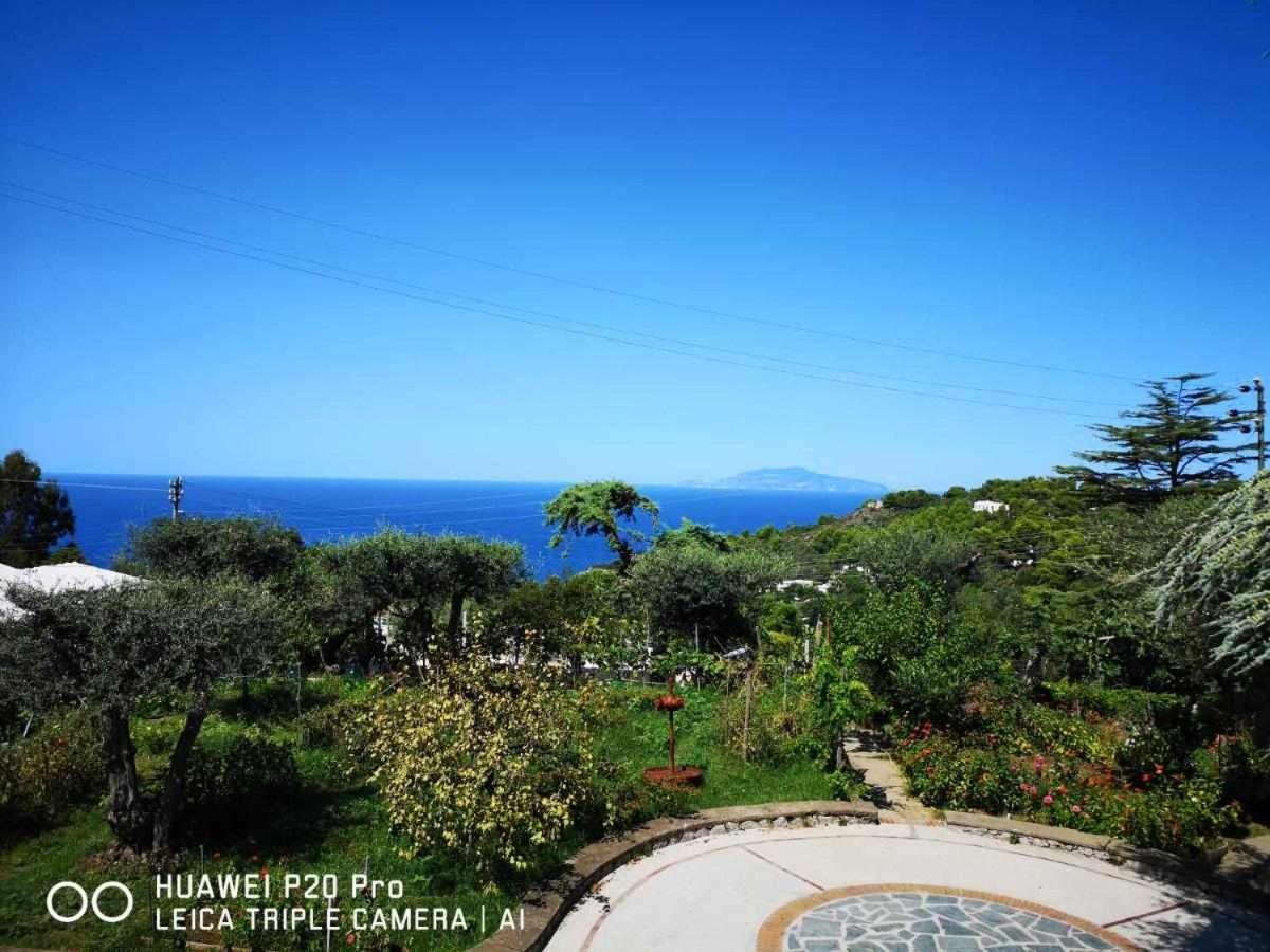 Villa Romano, Anacapri Bagian luar foto