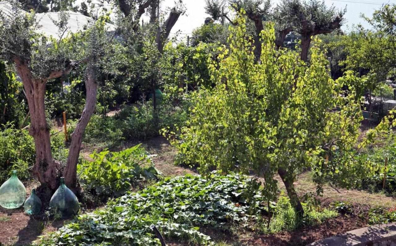 Villa Romano, Anacapri Bagian luar foto