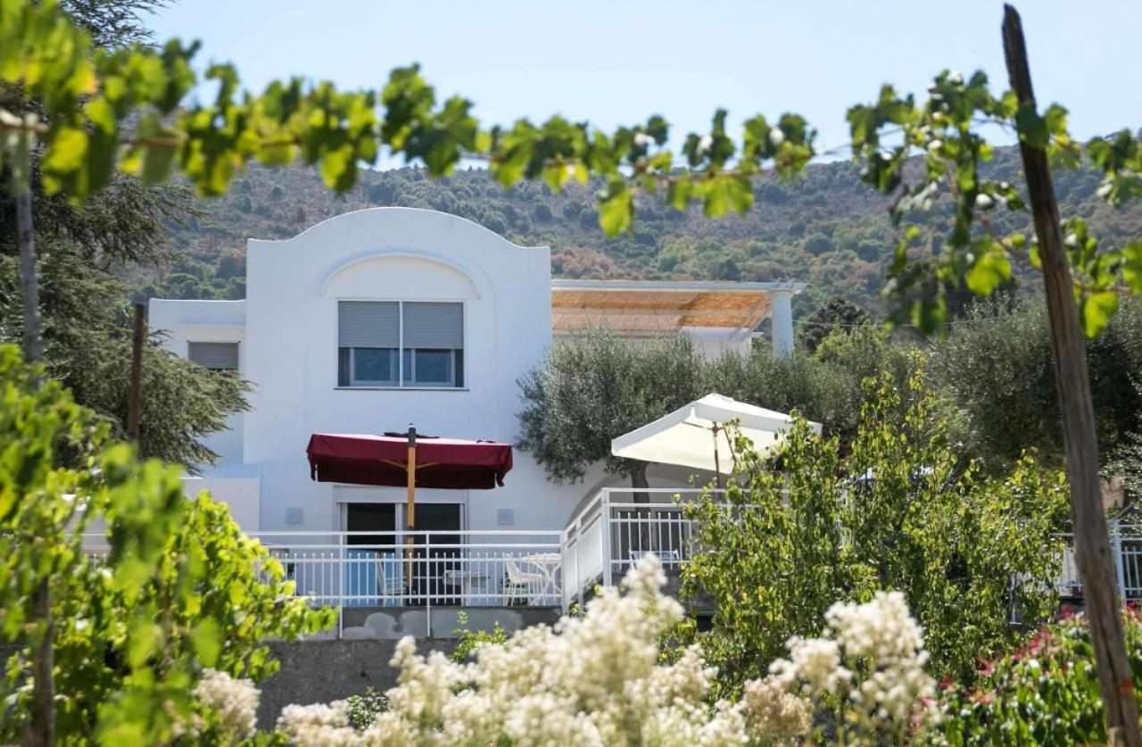 Villa Romano, Anacapri Bagian luar foto