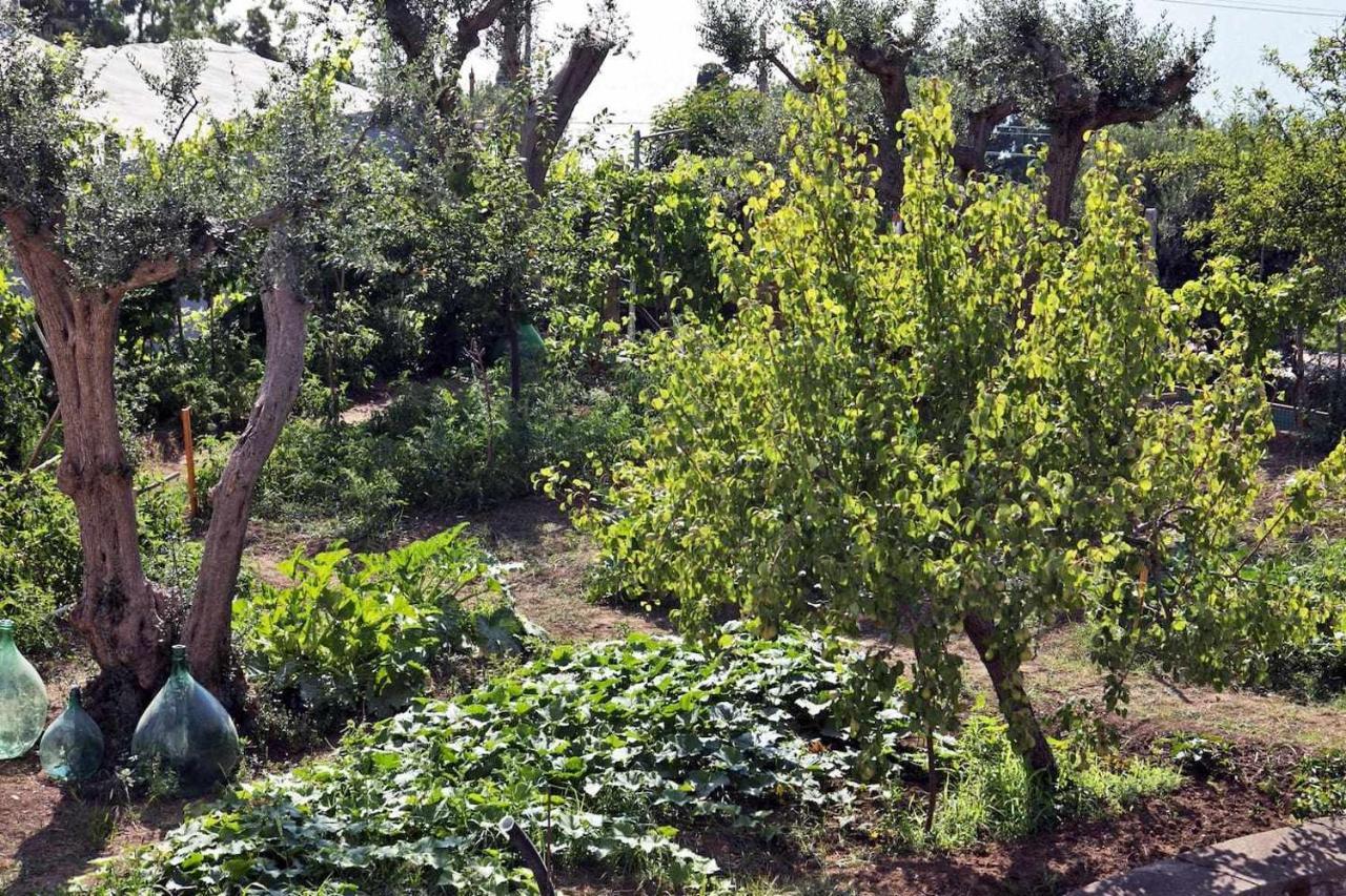 Villa Romano, Anacapri Bagian luar foto