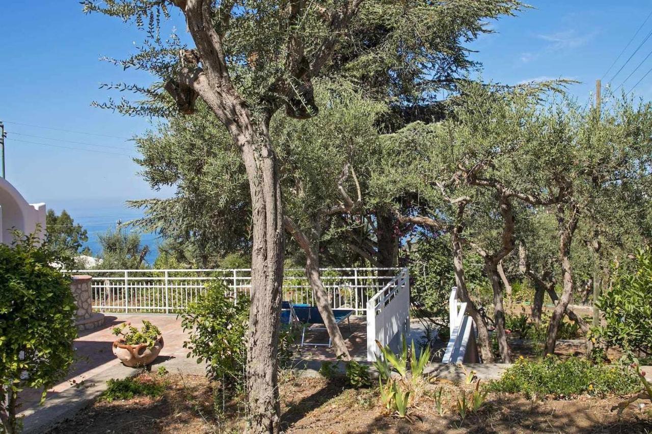Villa Romano, Anacapri Bagian luar foto
